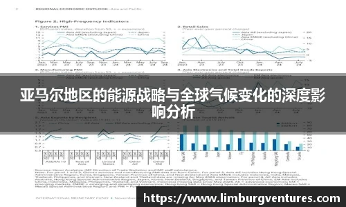 亚马尔地区的能源战略与全球气候变化的深度影响分析