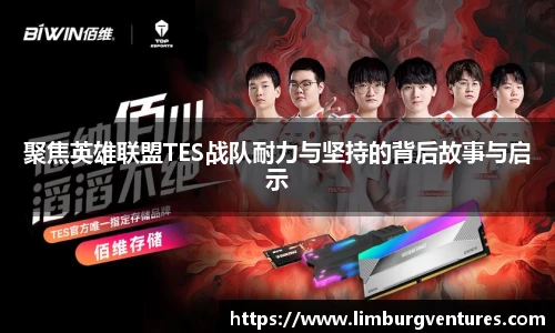 聚焦英雄联盟TES战队耐力与坚持的背后故事与启示
